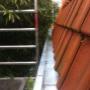 Zinken goot