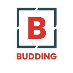 Assurantiën Budding BV Makelaar en Taxaties
