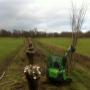 knotten en landschap onderhoud