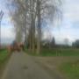 bomen rooien/houtoogst