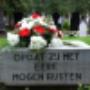 Begraafplaats Algemeen Tongerseweg
