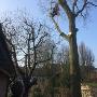 Blommestein Hoveniers