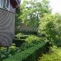 Blommestein Hoveniers