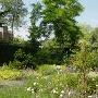 Blommestein Hoveniers