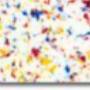 dialcolor8845