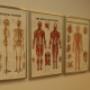 15-met-diverse-posters-kan-ik-
