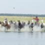Untamed Travelling