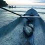 Untamed Travelling
