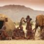 Untamed Travelling