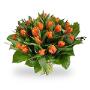 Blomke fan Romke
