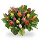 Blomke fan Romke