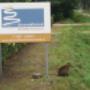 Dennenoord Dierenkliniek