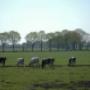 De mooie Kempen