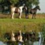 Waterschap Vechtstromen