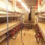 Wopereis Vredeveld BV