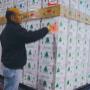 Veleka Logistics BV