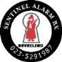 De specialist in beveiliging