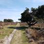 Mantingerveld