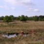 Nationaalpark Drentsche Aa