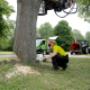 Begraafplaats Westgaarde A'dam