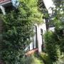 Woning