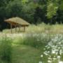 Extensief bloemenwiedes