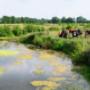 Aelderstroom Benneveld