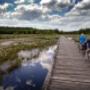 Gemeente Aa en Hunze