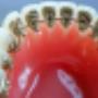 Orthodontistenpraktijk Dr R E G Jonkman Papendrecht BV