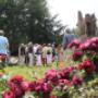 Rosarium Winschoten