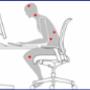 Bedrijfsfysiotherapie