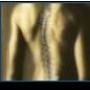 Fysiotherapie Konings