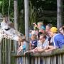 GaiaZOO Kerkrade