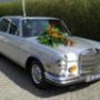 Taxibedrijf De Thoolse Taxi & Tholtax Tours