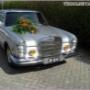 Taxibedrijf De Thoolse Taxi & Tholtax Tours