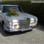 Taxibedrijf De Thoolse Taxi & Tholtax Tours