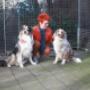 Mack en Jock in de uitlaatren