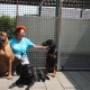 Hugo, dunja en Donna gasten