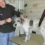 Bobby in de de Trim met Nancy