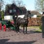 paard in de "losse strengen"