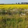 Omgeving Groede