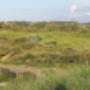 Duinen Groede