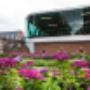 Bergh Bouw