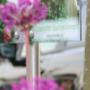 Floralex