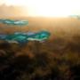Landart project 'heide-vennen