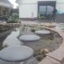 achtertuin in Rilland-Bath