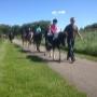 Ponystappen voor de kleinsten