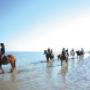 Strandrit