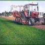 Graszodenkwekerij Boot Johan