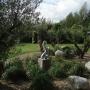 Hoveniersbedrijf De Agapanthus